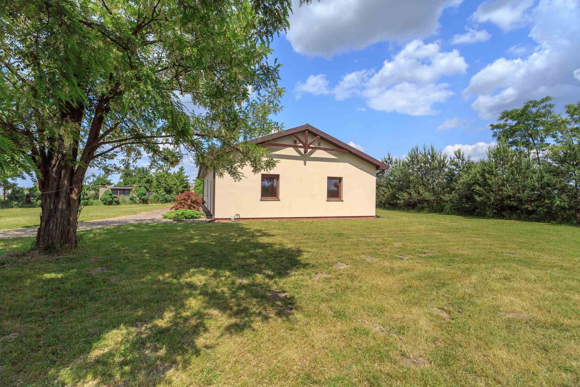 Stare drzewo przy domu