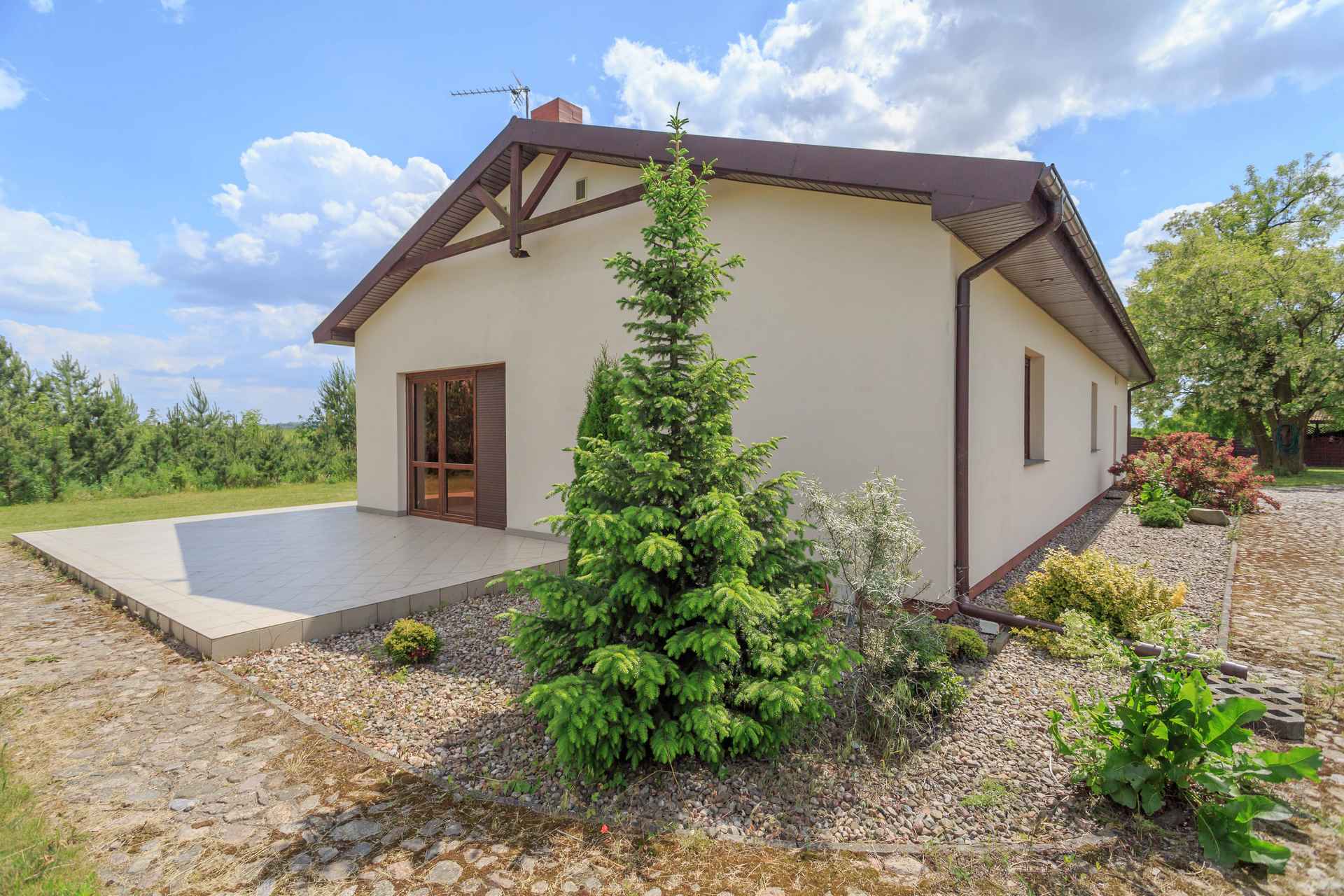 Taras pod świerkami